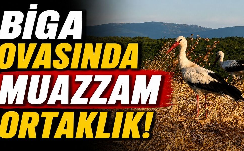 Biga ovasında muazzam ortaklık!