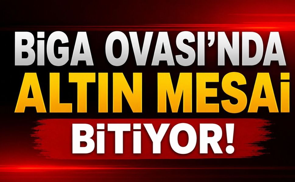 Biga Ovası'nda altın mesai bitiyor!
