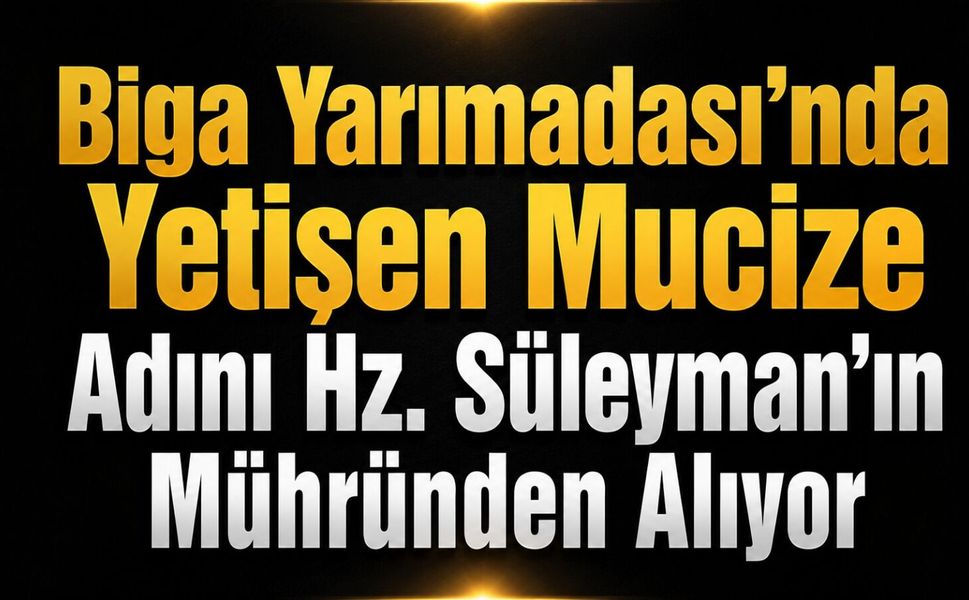 Biga Yarımadası'nda yetişen mucize: Adını Hz. Süleyman’ın mühründen alıyor!