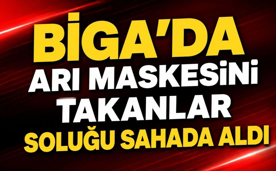 Biga'da arı maskesini takanlar soluğu sahada aldı
