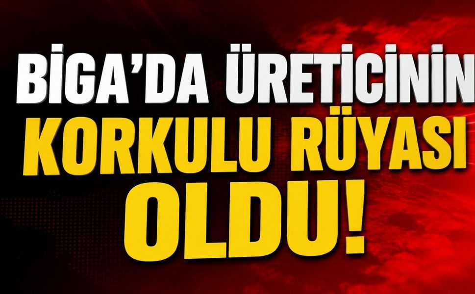 Biga’da da üreticinin korkulu rüyası oldu!