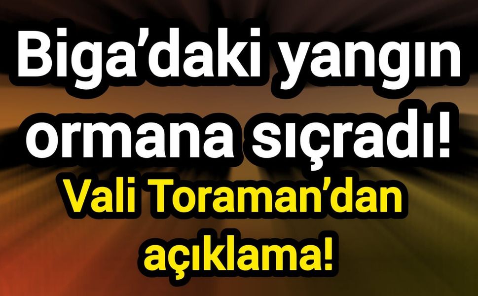 Biga’daki yangın ormana sıçradı! Vali Toraman’dan açıklama!