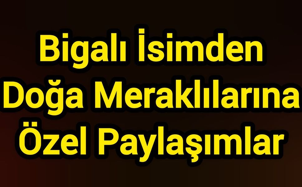 Bigalı İsimden Doğa Meraklılarına Özel Paylaşımlar