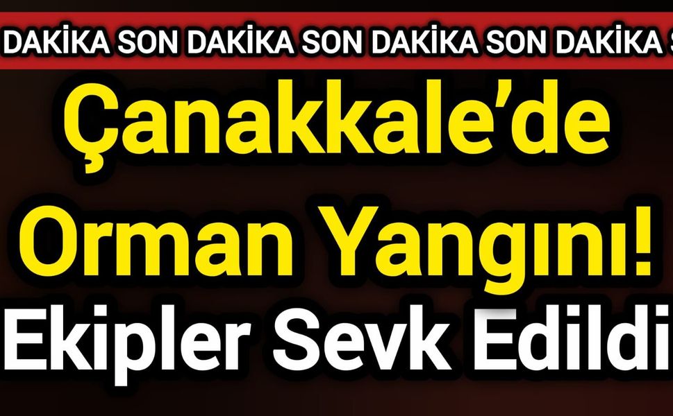 Çanakkale’de Orman Yangını! Ekipler Sevk Edildi
