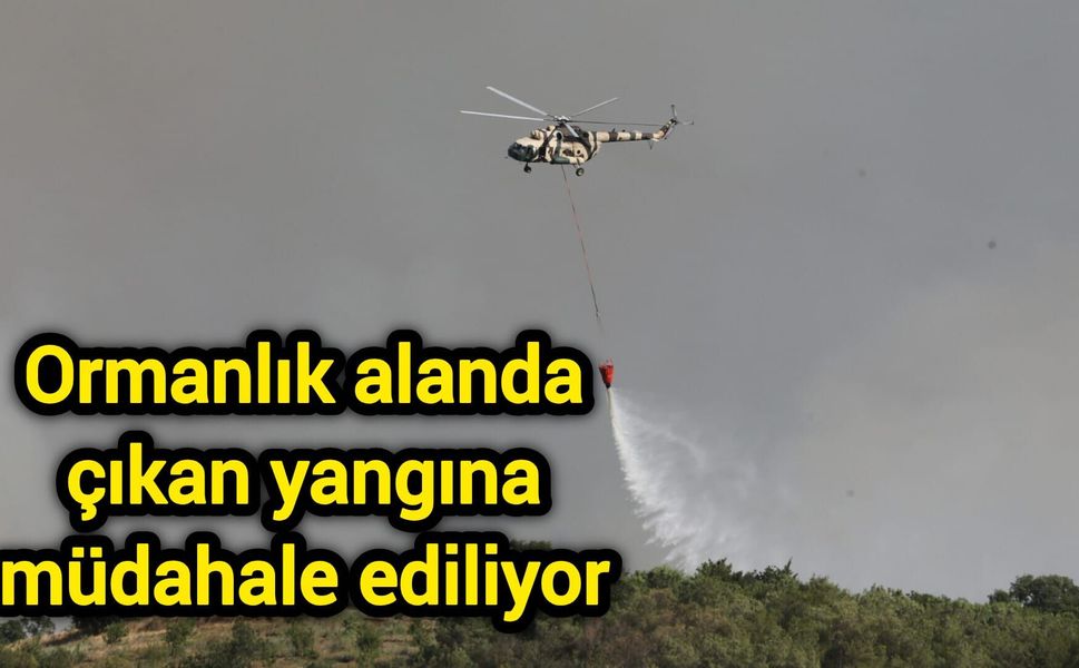 Ormanlık alanda çıkan yangına müdahale ediliyor