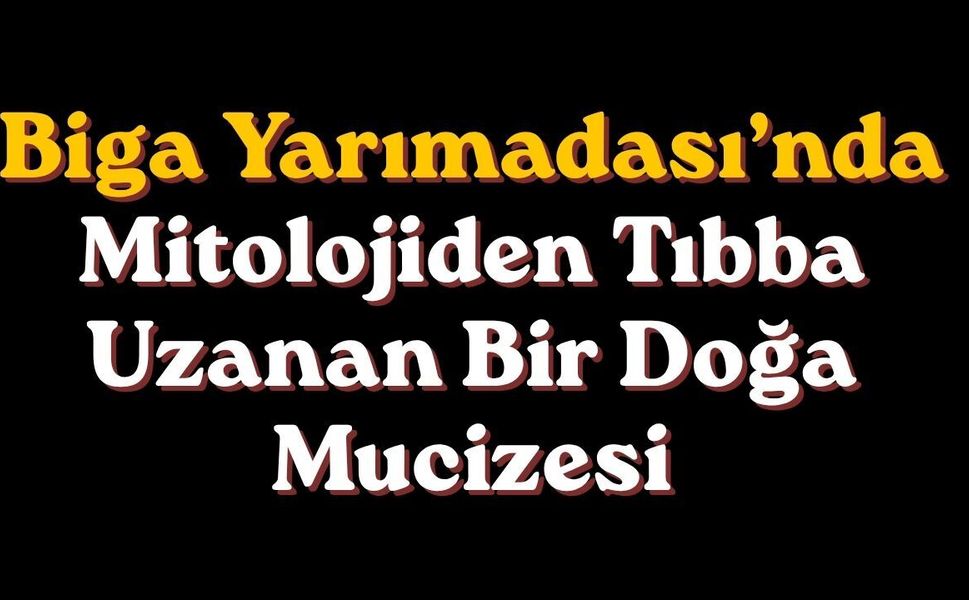Biga Yarımadası’nda mitolojiden tıbba uzanan bir doğa mucizesi