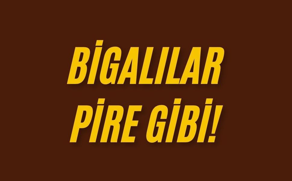 Bigalılar pire gibi!