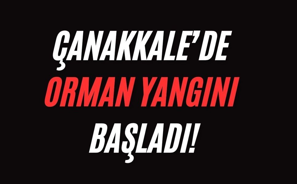 Çanakkale’de orman yangını başladı!