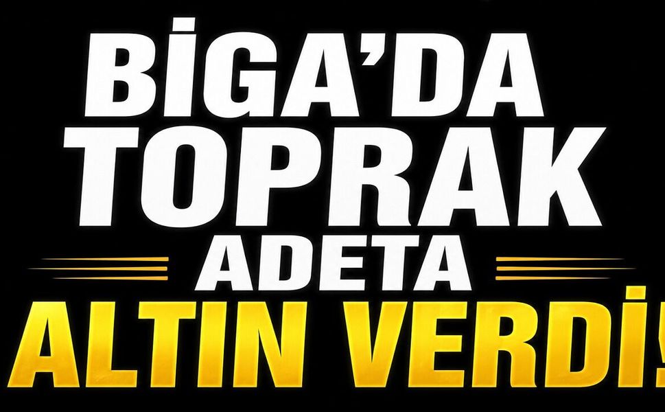 Biga'da toprak adeta altın verdi!