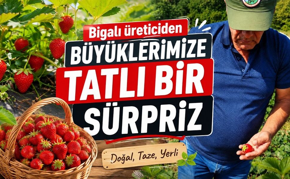 Bigalı üreticiden büyüklerimize tatlı bir sürpriz