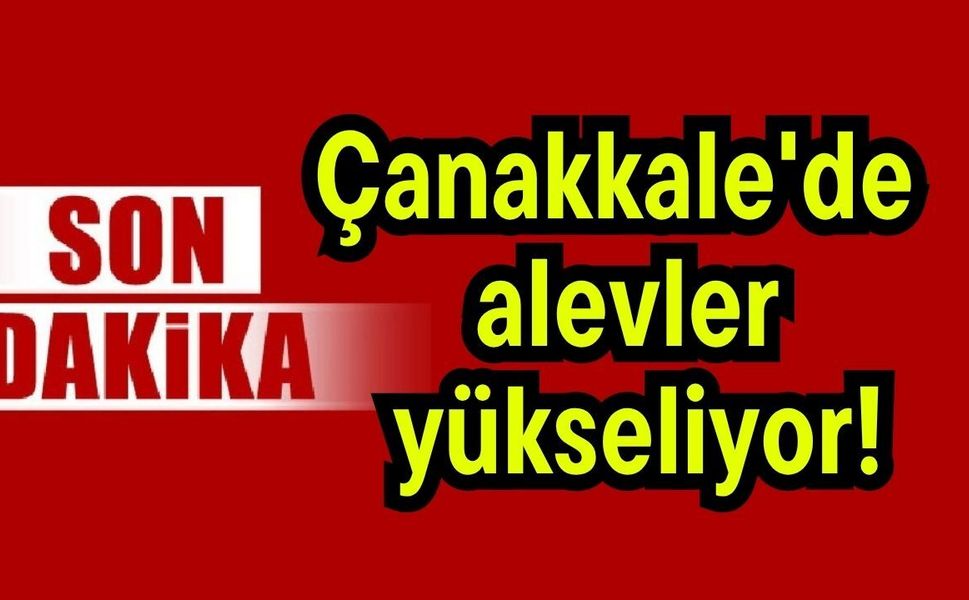 Çanakkale'de alevler yükseliyor!