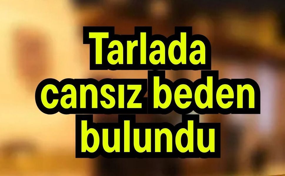 Tarlada cansız beden bulundu