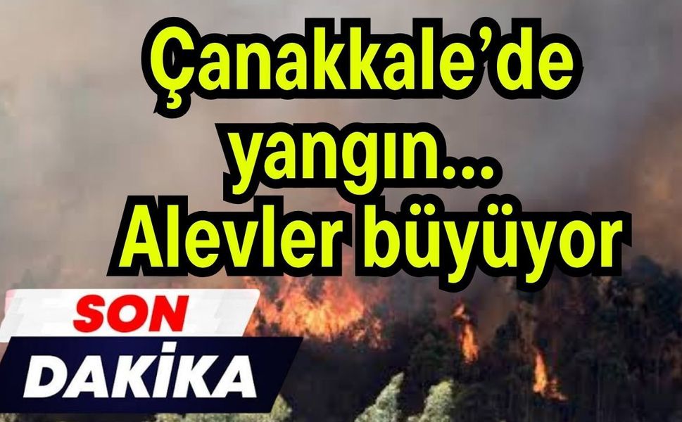 Çanakkale’de yangın… Alevler büyüyor