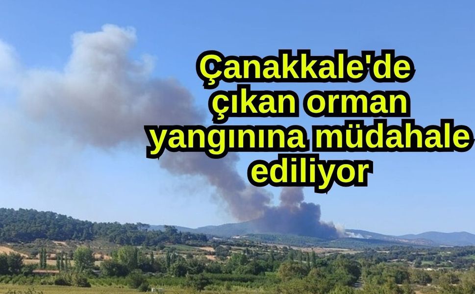Çanakkale'de çıkan orman yangınına müdahale ediliyor