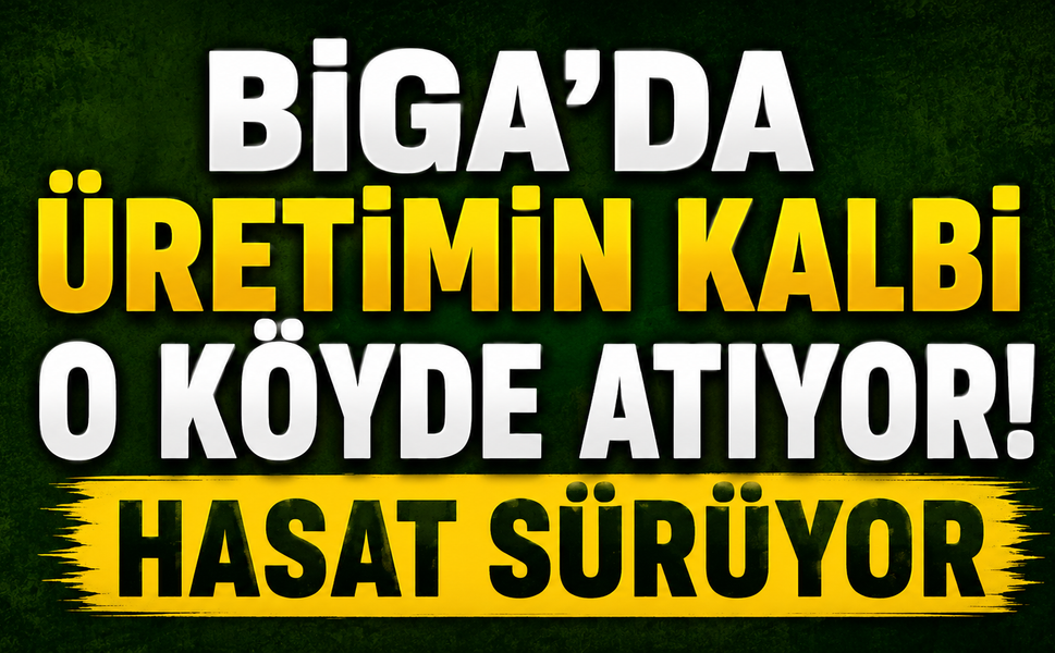 Biga’da üretimin kalbi o köyde atıyor! Hasat sürüyor
