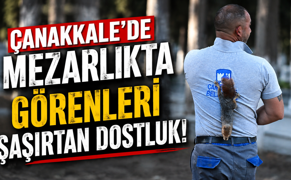 Çanakkale’de mezarlıkta görenleri şaşırtan dostluk!
