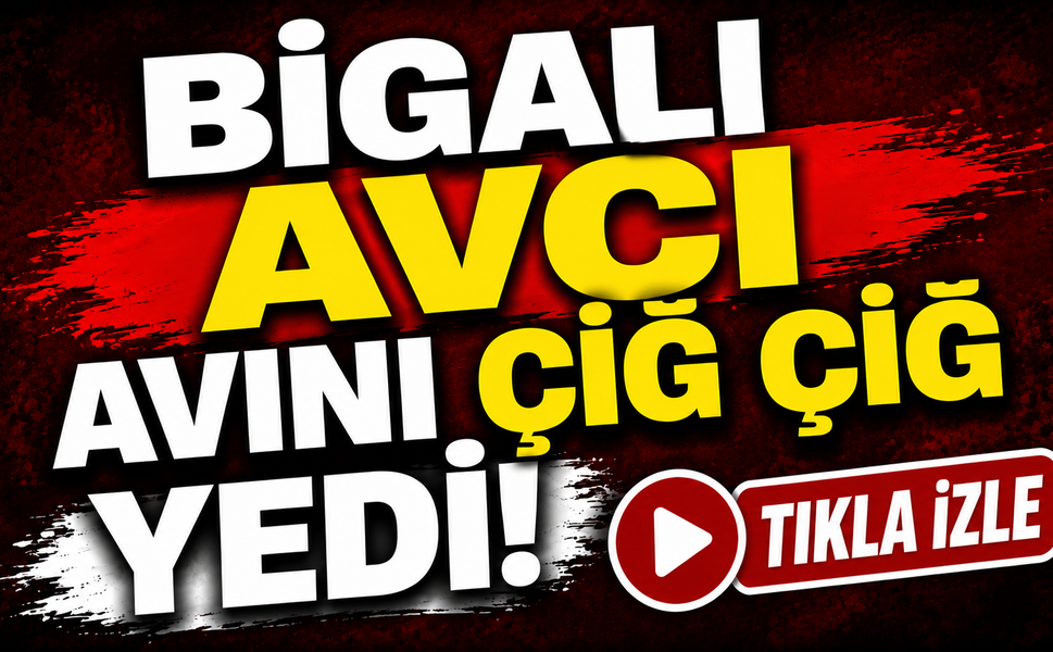 Bigalı avcı avını çiğ çiğ yedi!