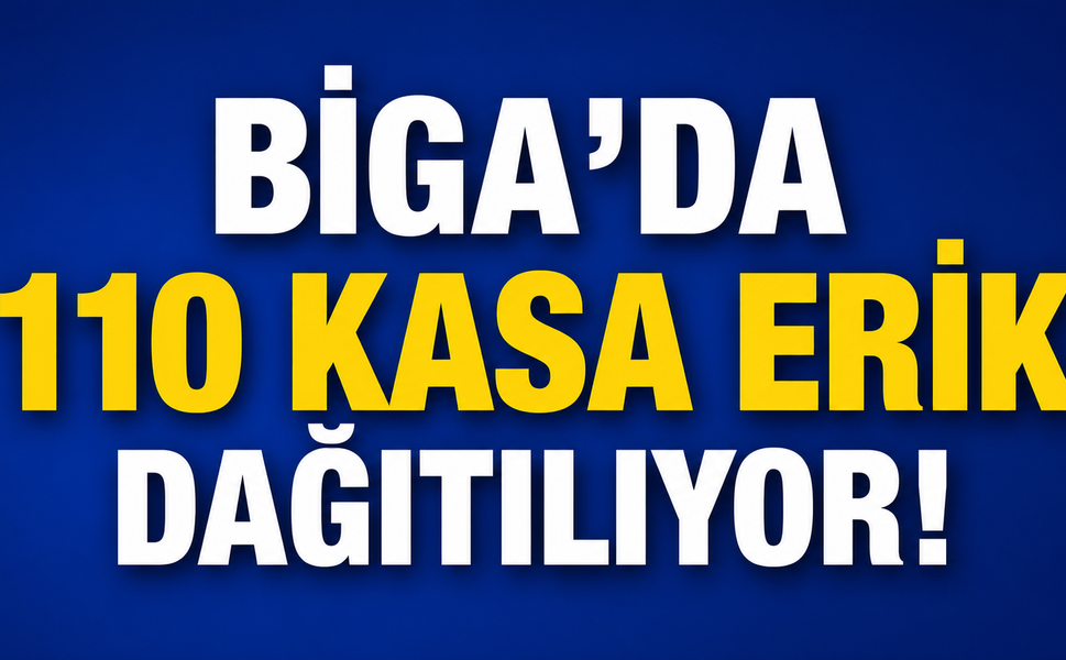 Biga’da 110 kasa erik dağıtılıyor!