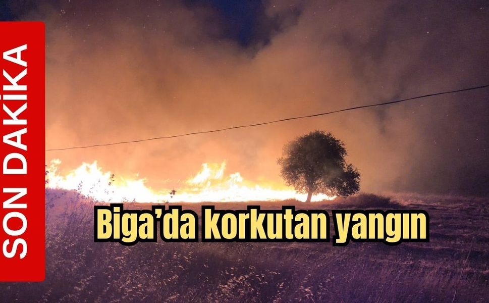 Son Dakika! Biga'da korkutan yangın