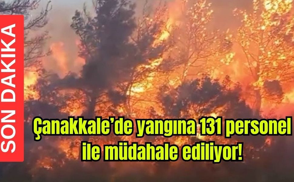 Çanakkale'de yangına 131 personel ile müdahale ediliyor (Video)