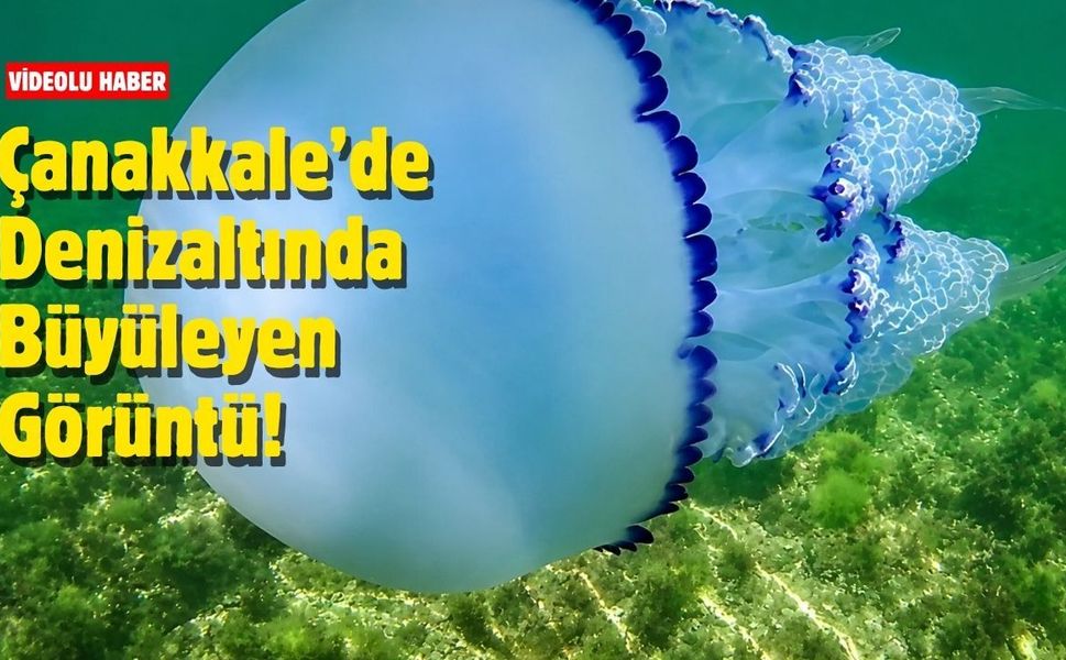 Çanakkale’de Denizaltında Büyüleyen Görüntü!