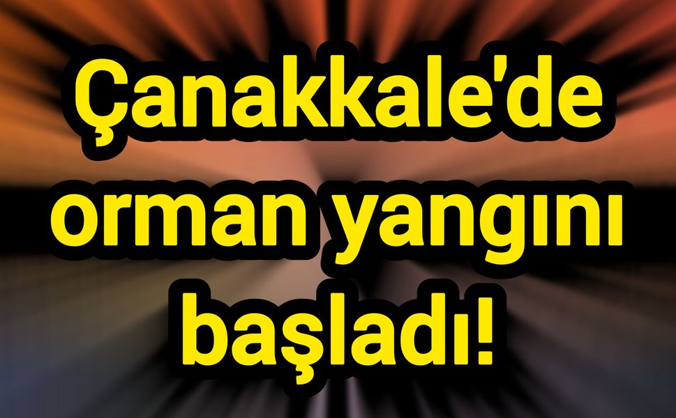 Çanakkale'de orman yangını başladı!
