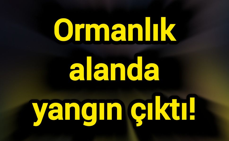 Ormanlık alanda yangın çıktı!