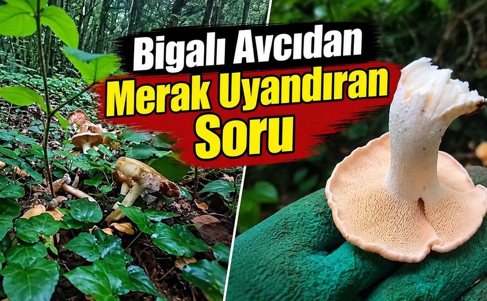 Bigalı Avcıdan Merak Uyandıran Soru