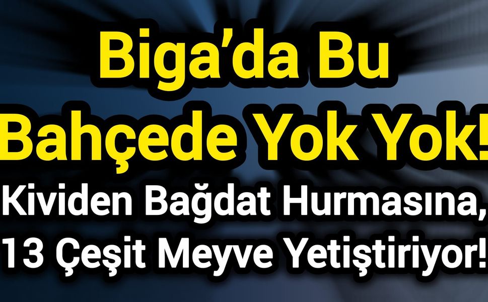 Biga’da Bu Bahçede Yok Yok! Kividen Bağdat Hurmasına, 13 Çeşit Meyve Yetiştiriyor!