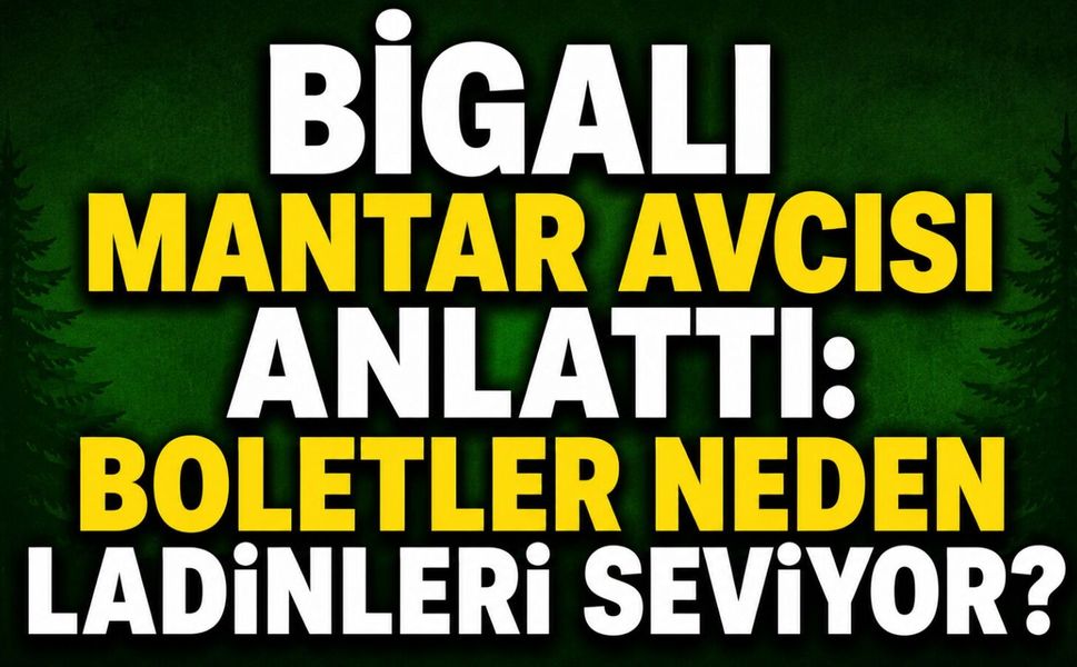 Bigalı Mantar Avcısı Anlattı: Boletler Neden Ladinleri Seviyor?