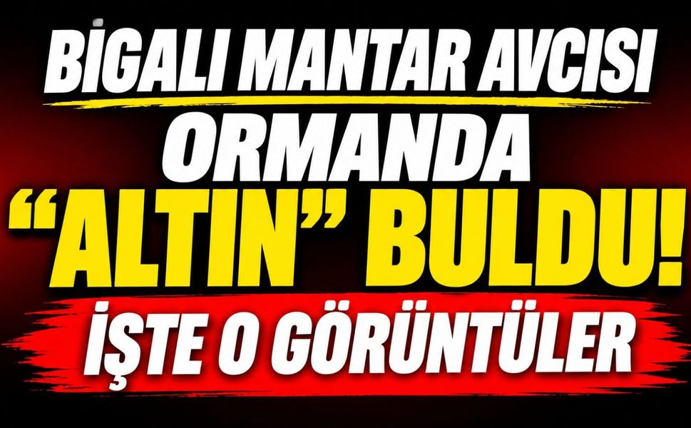 Bigalı mantar avcısı ormanda "altın" buldu! İşte o görüntüler