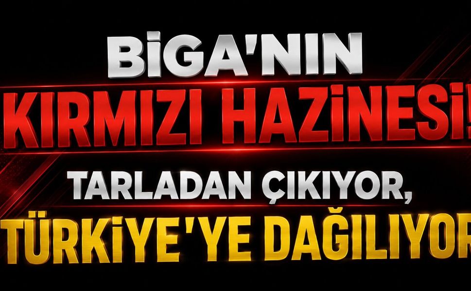 Biga’nın kırmızı hazinesi! Tarladan çıkıyor, Türkiye’ye dağılıyor