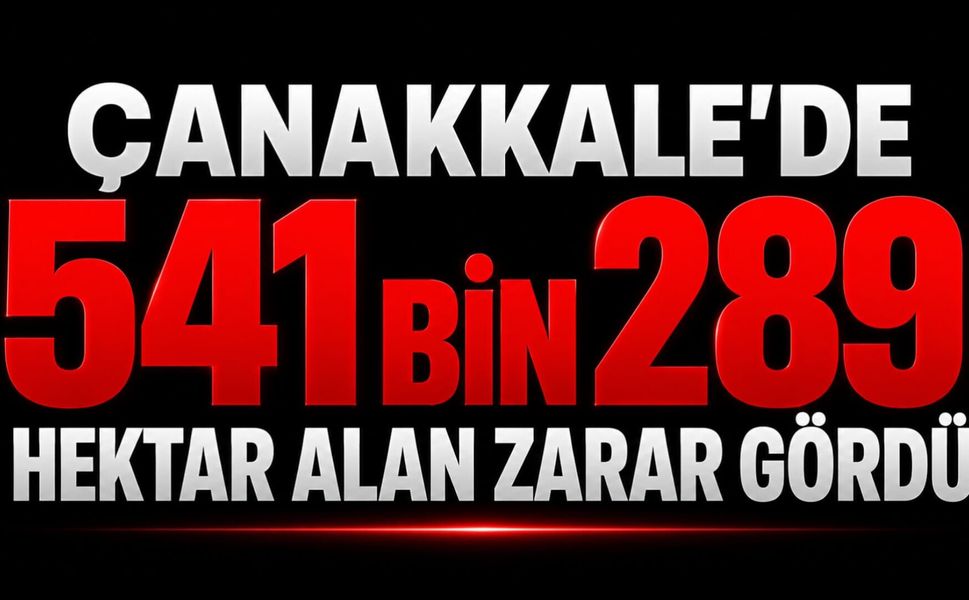 Çanakkale'de 541 bin 289 hektar alan zarar gördü
