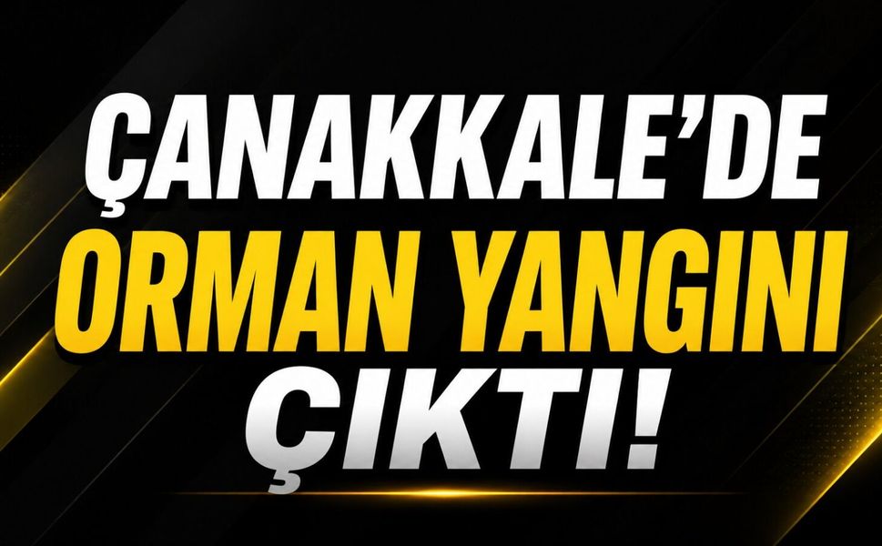 Çanakkale’de orman yangını çıktı!