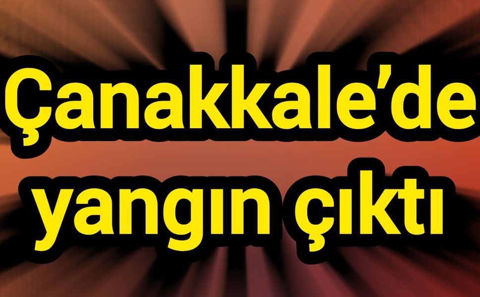 Çanakkale’de yangın çıktı