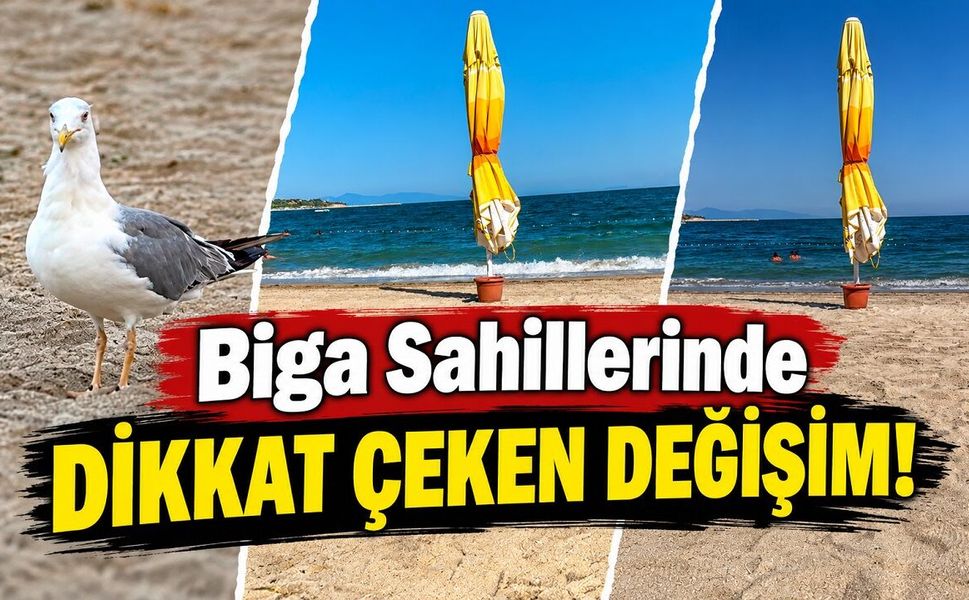 Biga Sahillerinde Dikkat Çeken Değişim!