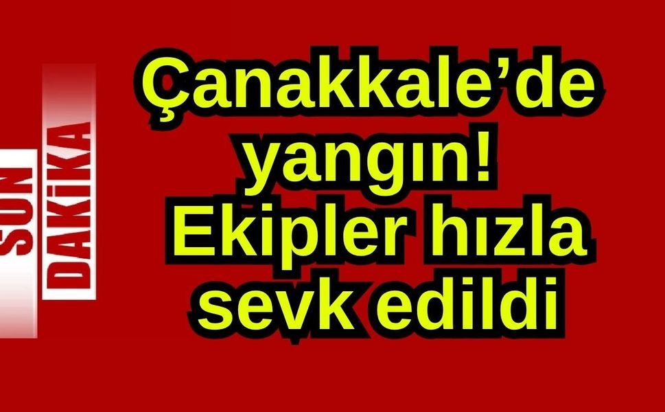 Çanakkale'de yangın! Ekipler hızla sevk edildi