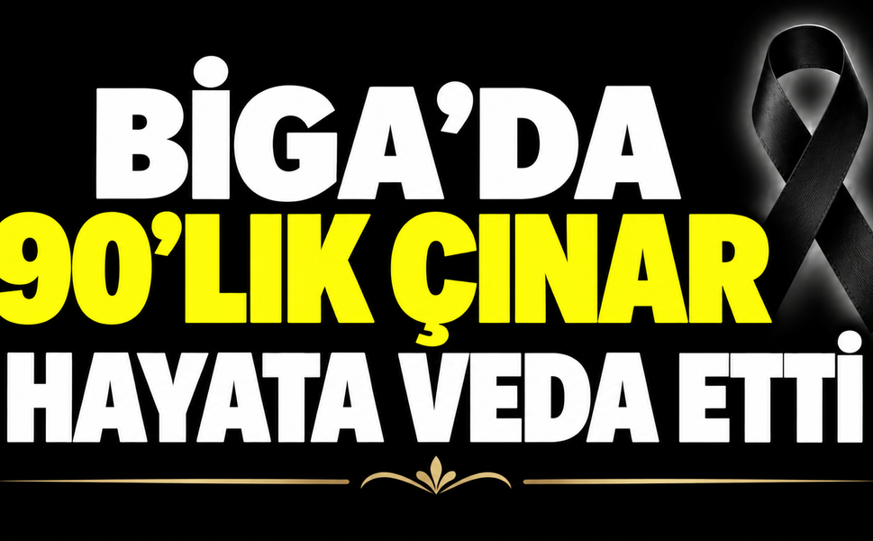 Biga’da 90’lık çınar hayata veda etti
