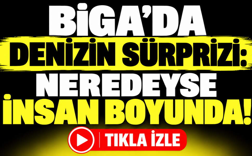 Biga’da denizin sürprizi: Neredeyse insan boyunda!