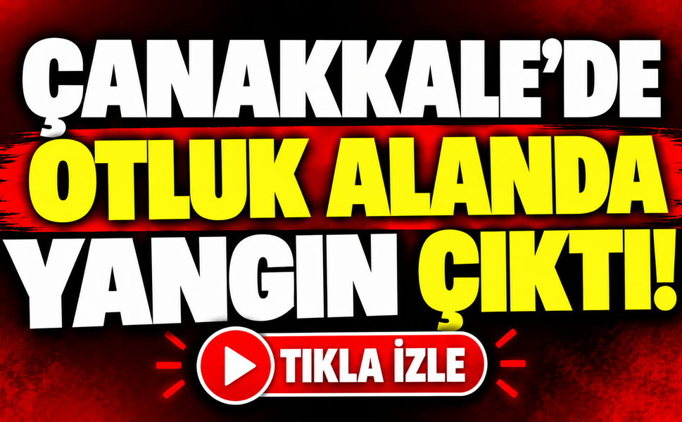 Çanakkale'de otluk alanda yangın çıktı!