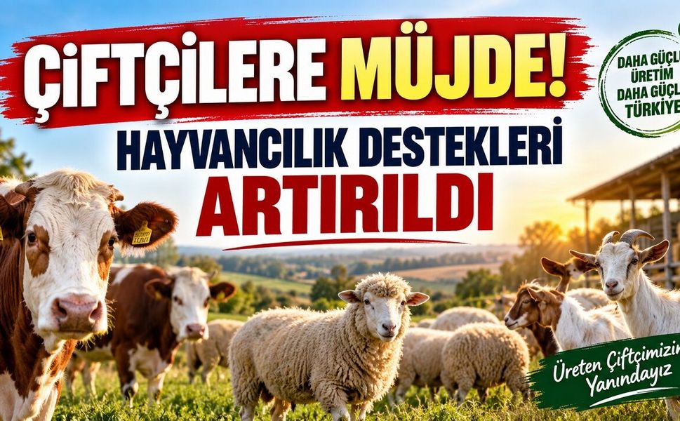 Çiftçilere Müjde! Hayvancılık Destekleri Artırıldı