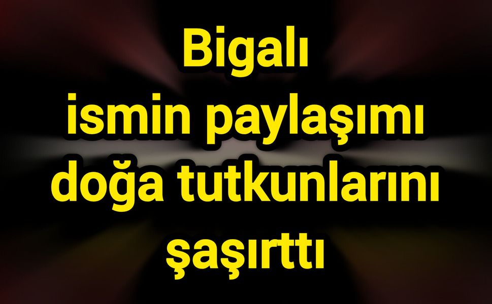 Bigalı ismin paylaşımı doğa tutkunlarını şaşırttı