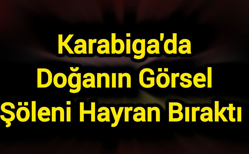 Karabiga'da Doğanın Görsel Şöleni Hayran Bıraktı