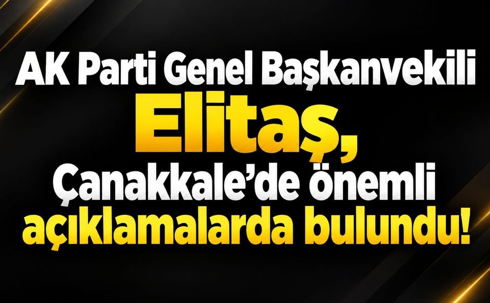 AK Parti Genel Başkanvekili Elitaş, Çanakkale'de önemli açıklamalarda bulundu!