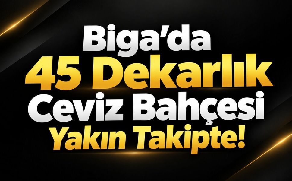 Biga’da 45 Dekarlık Ceviz Bahçesi Yakın Takipte!