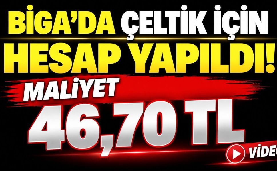 Biga’da Çeltik İçin Hesap Yapıldı: Maliyet 46,70 TL