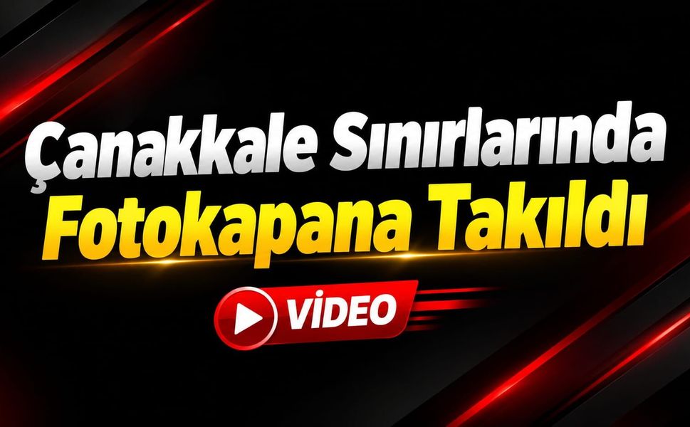 Çanakkale sınırlarında fotokapana takıldı