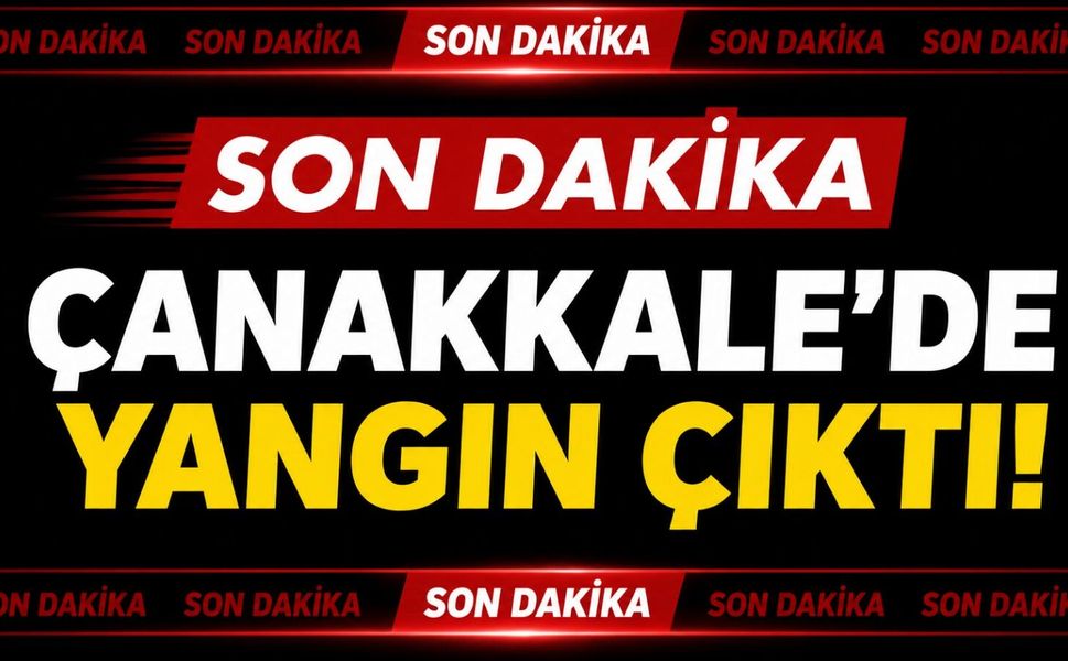 Son Dakika: Çanakkale’de yangın çıktı!