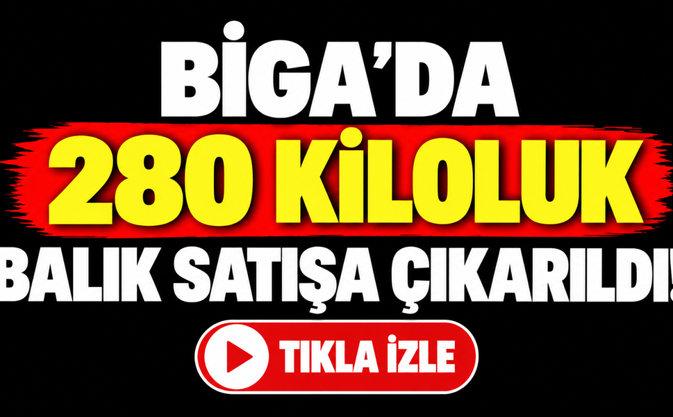 Biga’da 280 kiloluk balık satışa çıkarıldı!