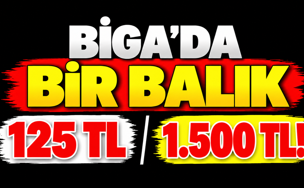 Biga’da bir balık 125 TL, diğeri 1.500 TL!